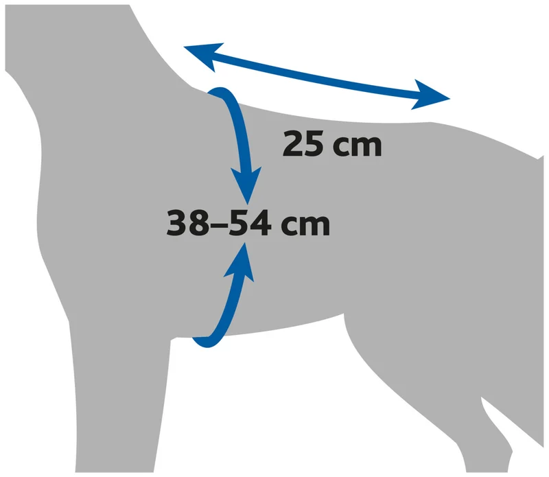 Sicherheitsweste für Hunde mit Bauchgurt und Reißverschluss am Rücken
