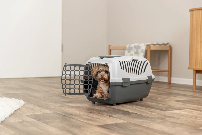 Capri 1 & 2 Transportbox für kleine Hunden und Katzen aus Kunststoff