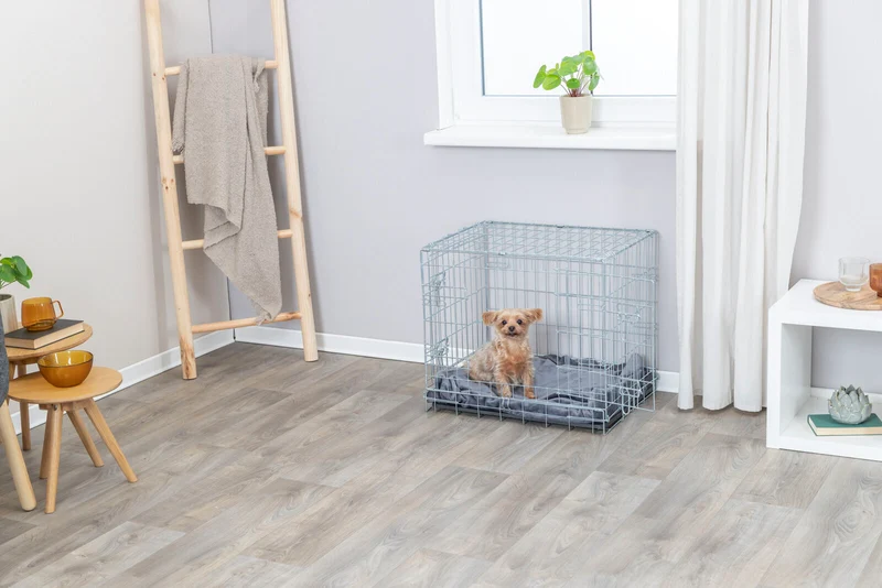 Hundebox Home