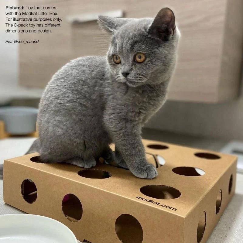 Box Toy (3-Pack)