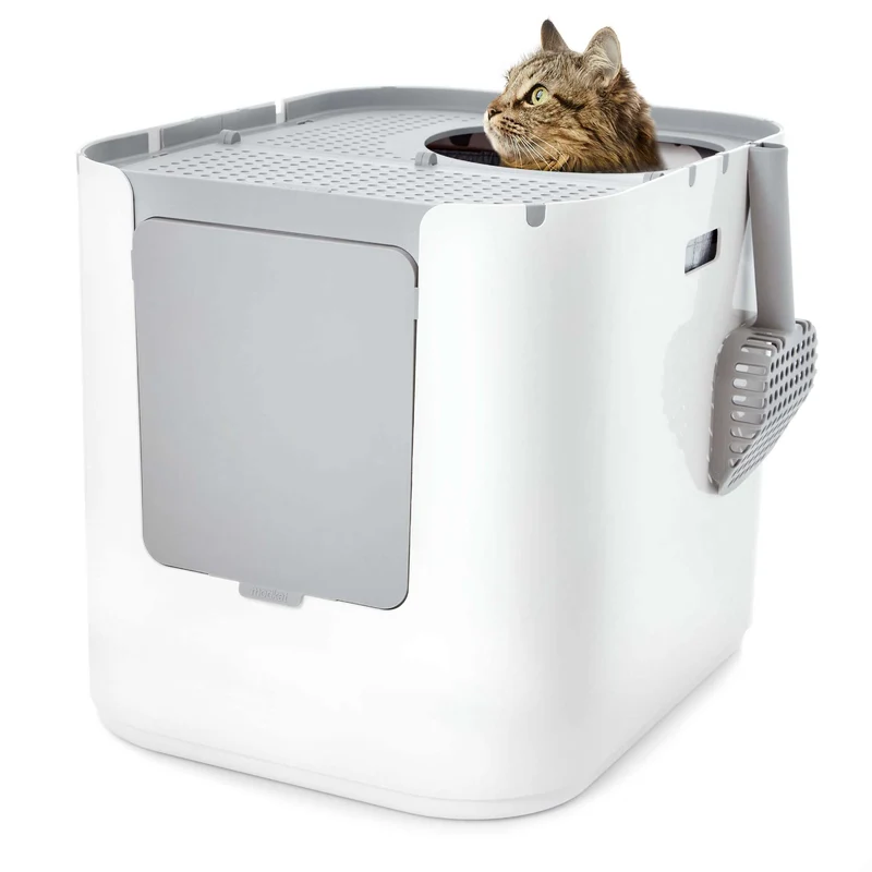 Modkat XL