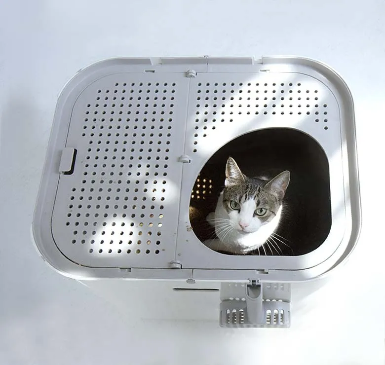 Modkat XL