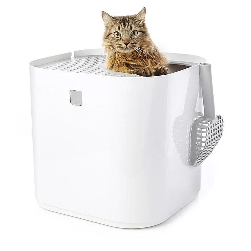 Modkat