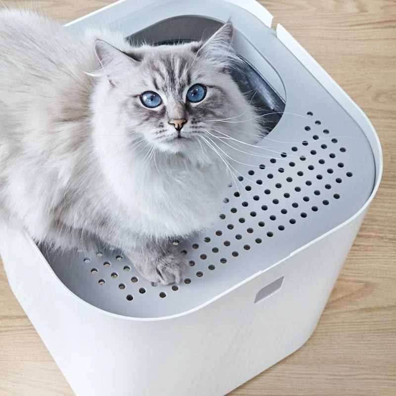 Modkat