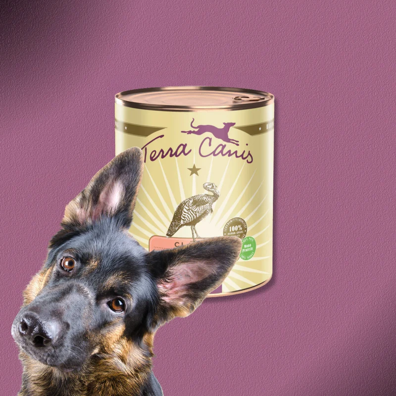 6x800g Terra Canis Classic Pute mit Brokkoli, Birne & Kartoffeln