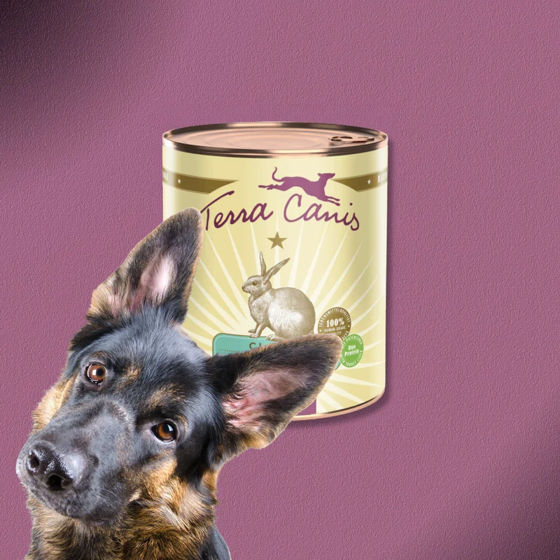 6x800g Terra Canis Classic Kaninchen mit Zucchini, Amaranth & Kerbel