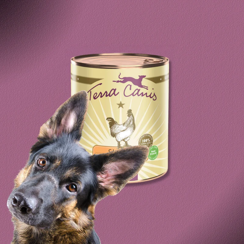 6x800g Terra Canis Classic Huhn mit Tomate, Amaranth & Basilikum
