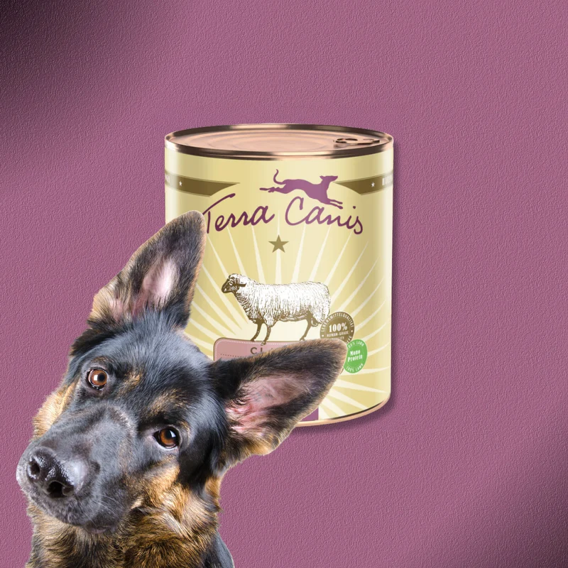 6x800g Terra Canis Classic Lamm mit Zucchini, Hirse & Dill