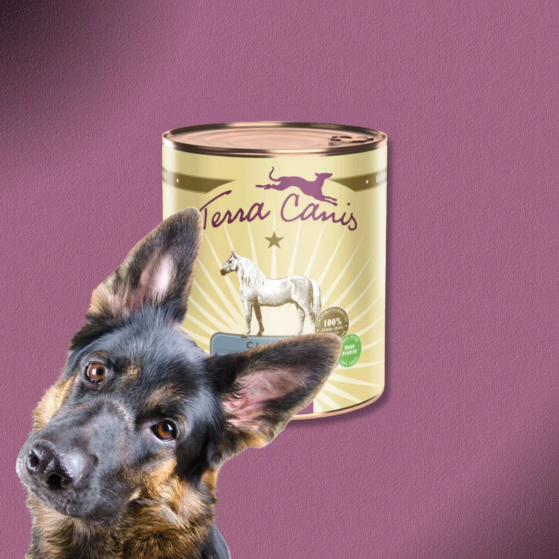 6x800g Terra Canis Classic Pferd mit Amaranth, Pfirsich & Roter Beete