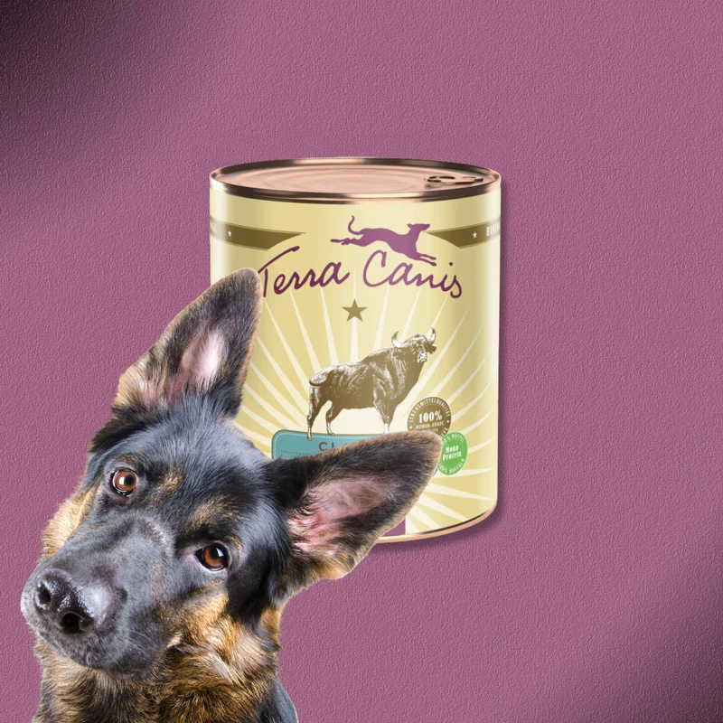 6x800g Terra Canis Classic Büffel mit Hirse, Tomaten & Papaya