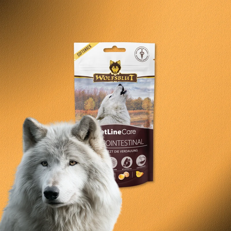 8x100g Wolfsblut VetLine Care Gastrointestinal