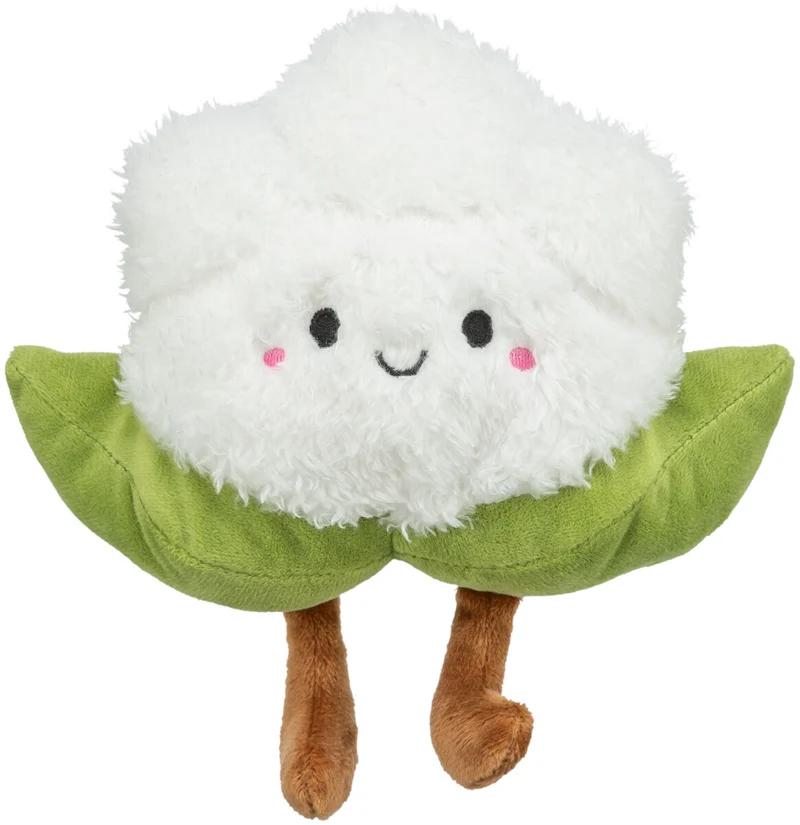 Blumenkohl XXL
