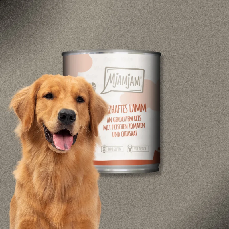 6x800g MjAMjAM Dog - Leckere Mahlzeiten - Herzhaftes Lamm an gekochtem Reis mit frischen Tomaten