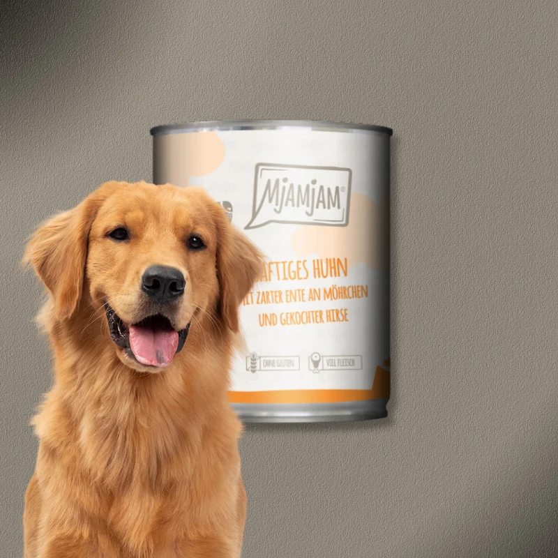 6x800g MjAMjAM Dog - Leckere Mahlzeiten - Saftiges Huhn mit zarter Ente an Möhrchen und gekochter Hirse