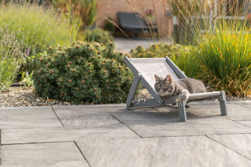 Outdoor Strandstuhl für Katzen