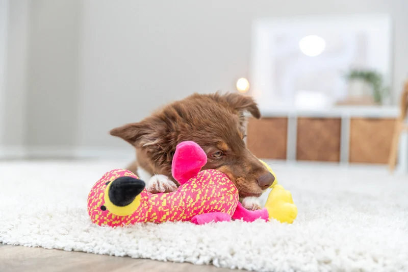Hundespielzeug Plüsch-Flamingo mit Knisterfolie und Quietscher