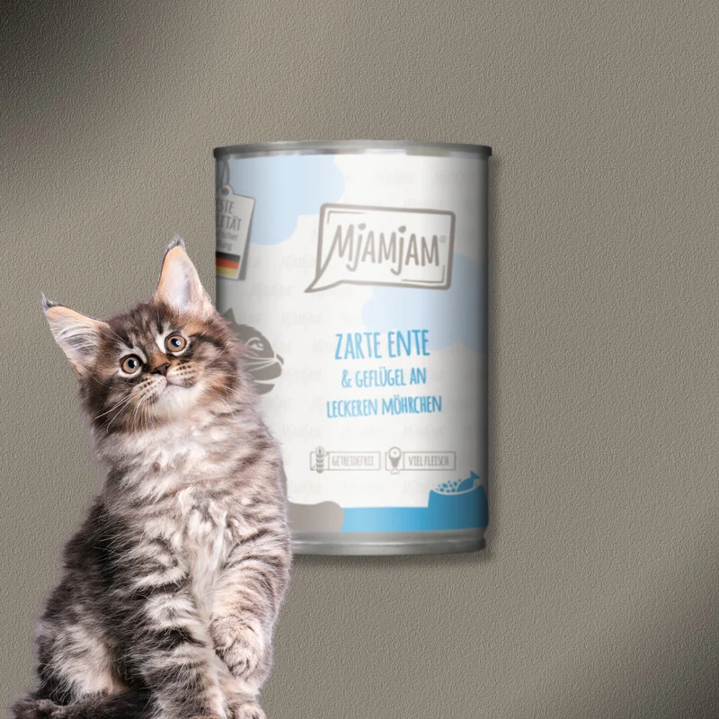 24x400g MjAMjAM Cat zarte Ente & Geflügel an leckeren Möhrchen