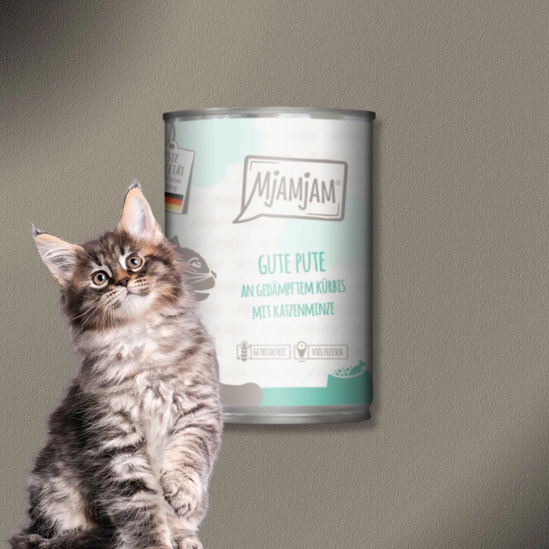 24x400g MjAMjAM Cat gute Pute an gedämpftem Kürbis