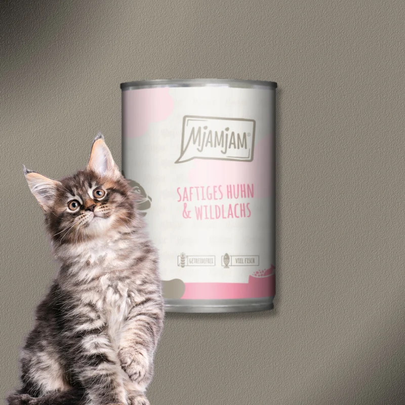 30x400g MjAMjAM Cat - saftiges Huhn und Wildlachs