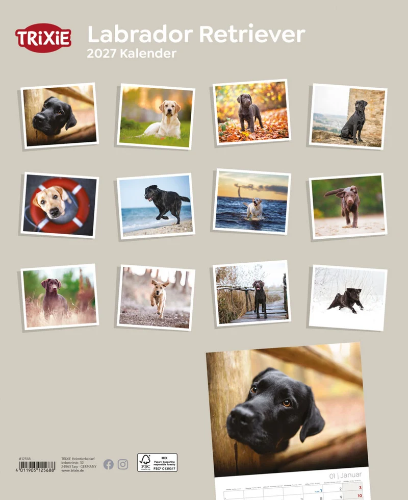 Kalender Labrador Retriever