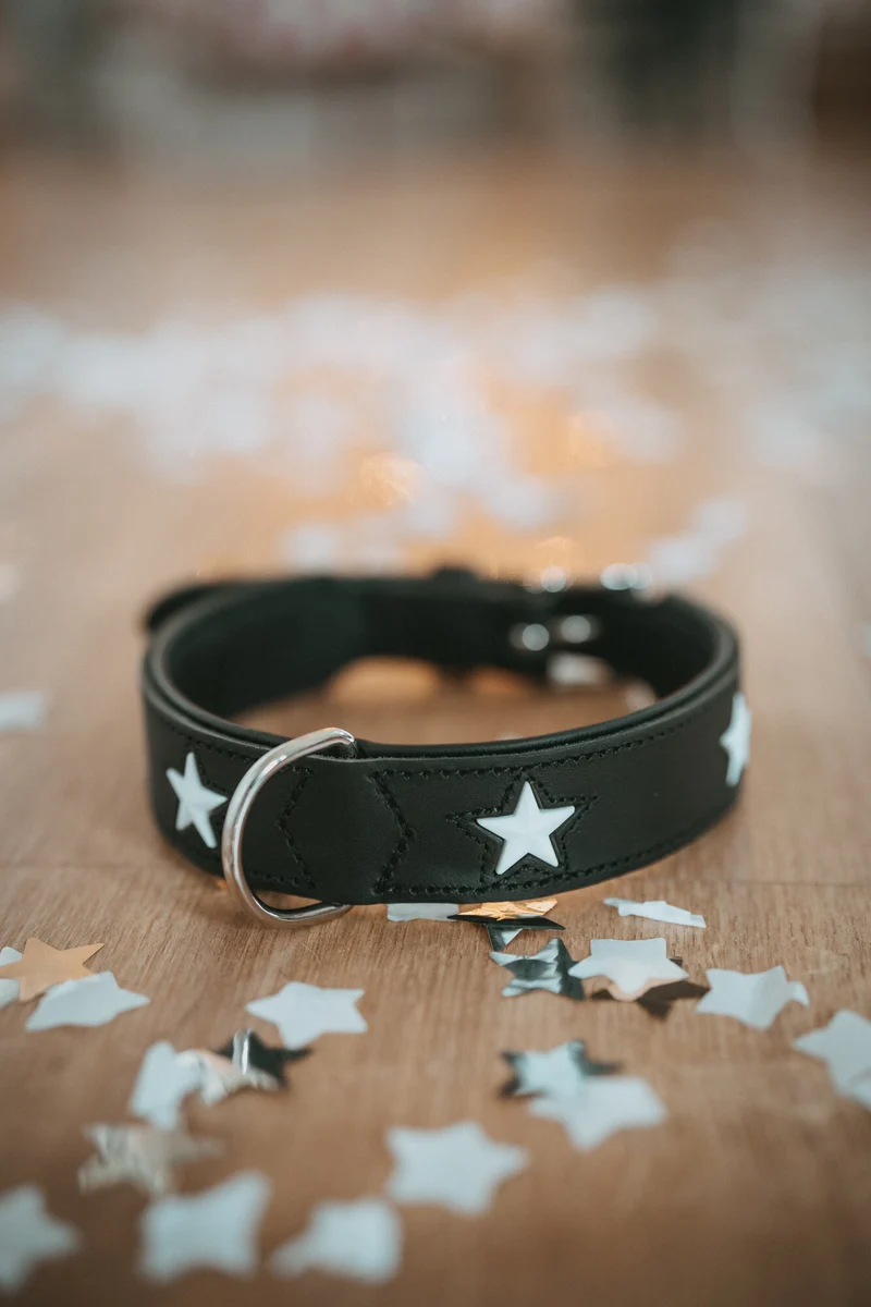MAGIC STAR Set Halsband & Leine | schwarz