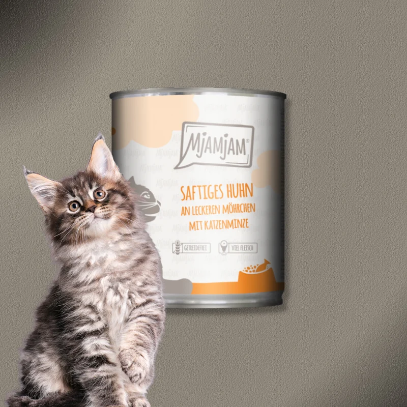 6x800g MjAMjAM Cat - saftiges Huhn an leckeren Möhrchen mit Katzenminze
