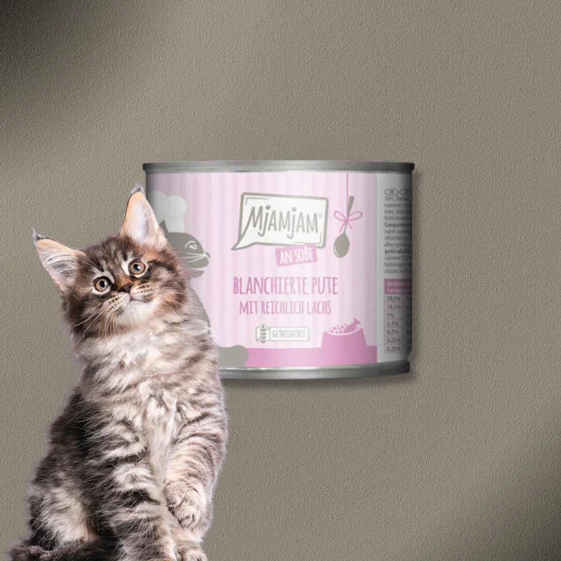 6x185g MjAMjAM Cat - blanchierte Pute mit reichlich Lachs an Soße