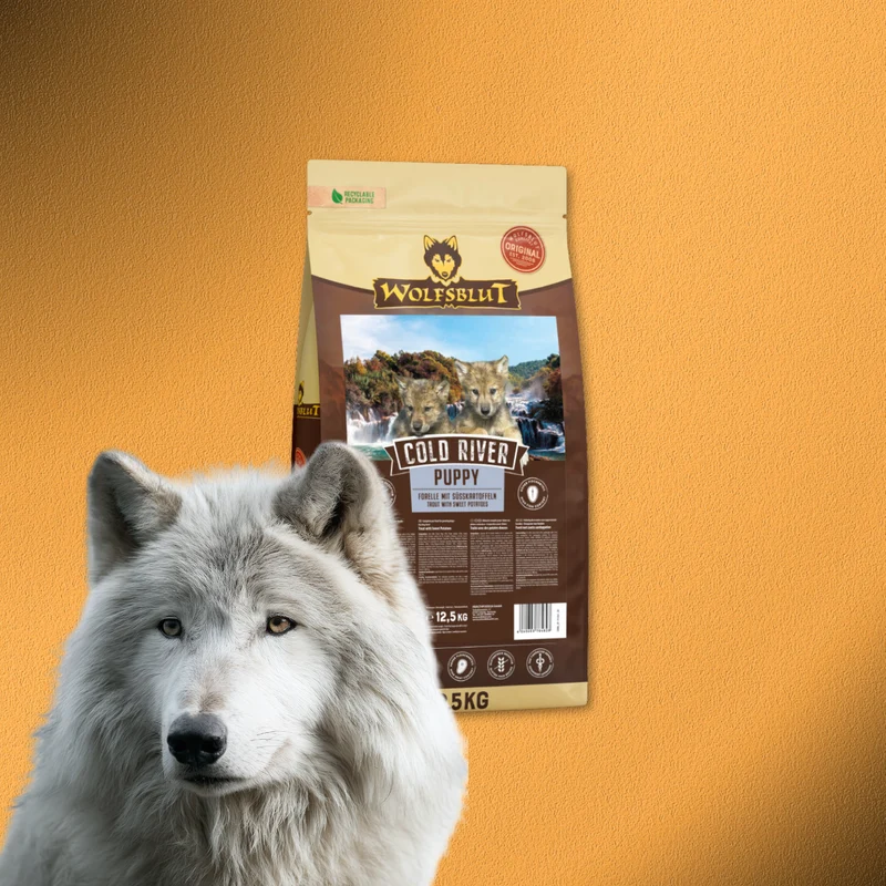 12,5 kg Wolfsblut Puppy Cold River – Ente mit Kartoffeln