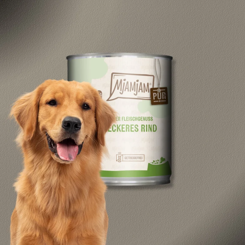6x800g MjAMjAM Dog - Purer Fleischgenuss - leckeres Rind pur