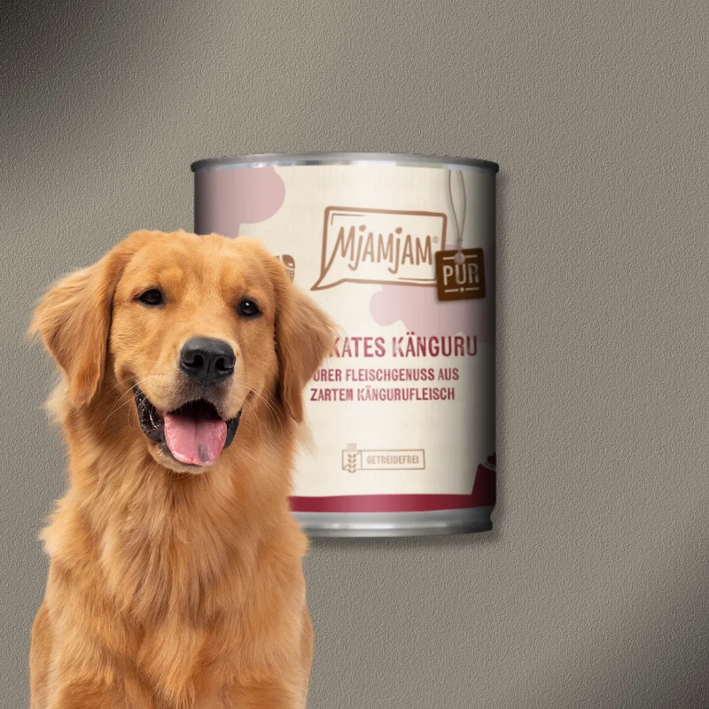 6x800g MjAMjAM Dog - Purer Fleischgenuss - delikates Känguru pur