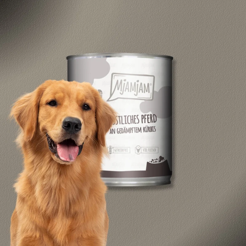 6x800g MjAMjAM Dog - Leckere Mahlzeiten - Köstliches Pferd an gedämpften Kürbis