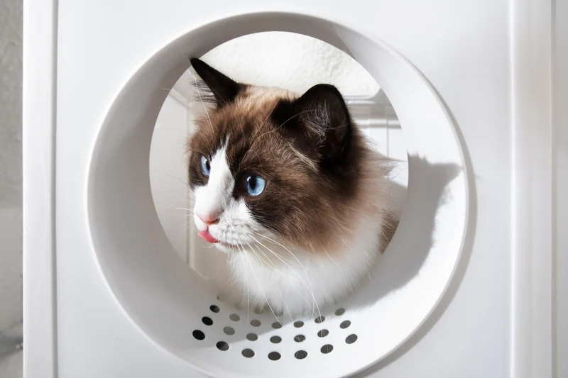 TIGO-X 2.0 Katzenklo XXL