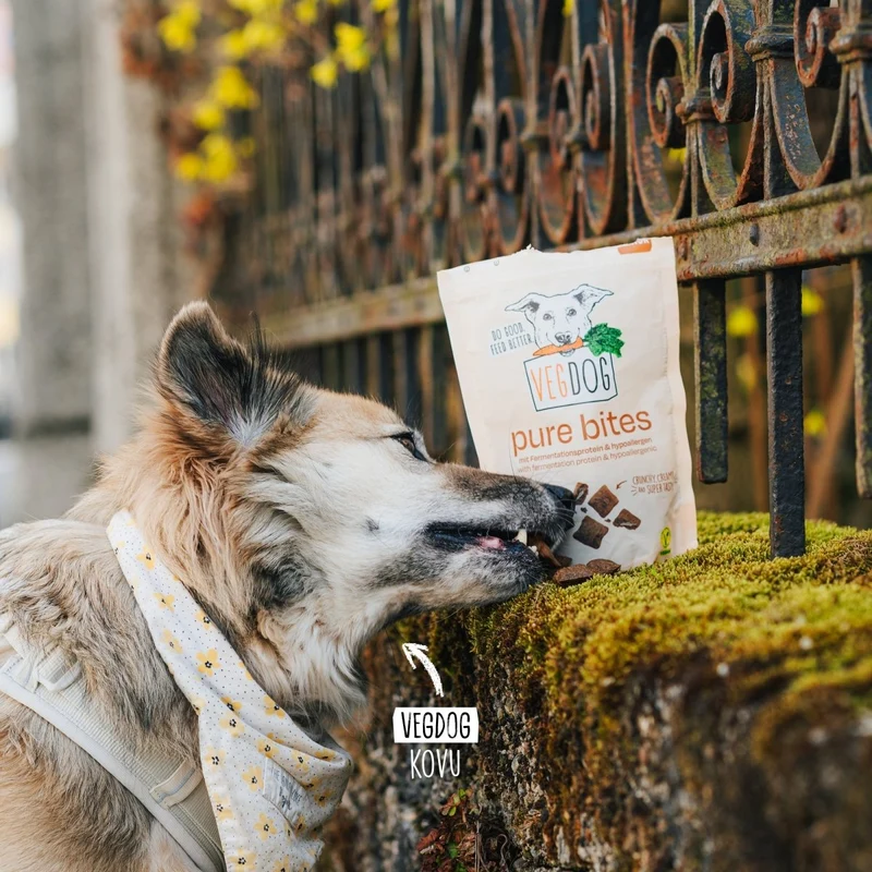 VEGDOG Pure Bites