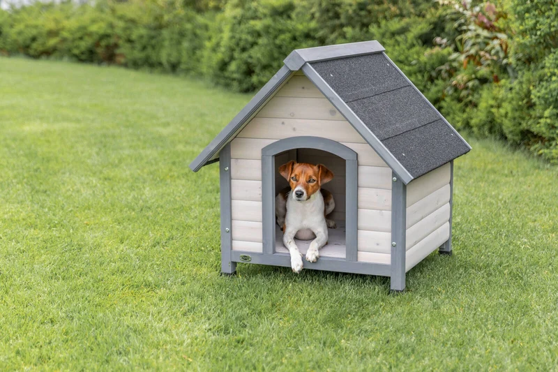 Hundehütte Cottage