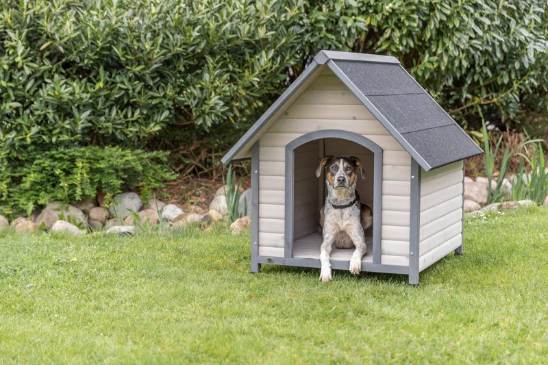 Hundehütte Cottage