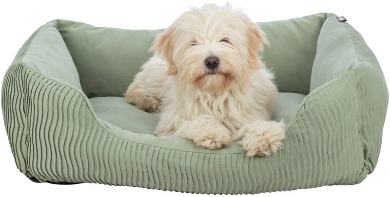 Bett Marley