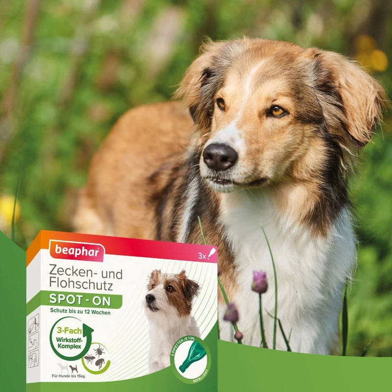 Beaphar Zecken- und Flohschutz SPOT-ON für kleine Hunde