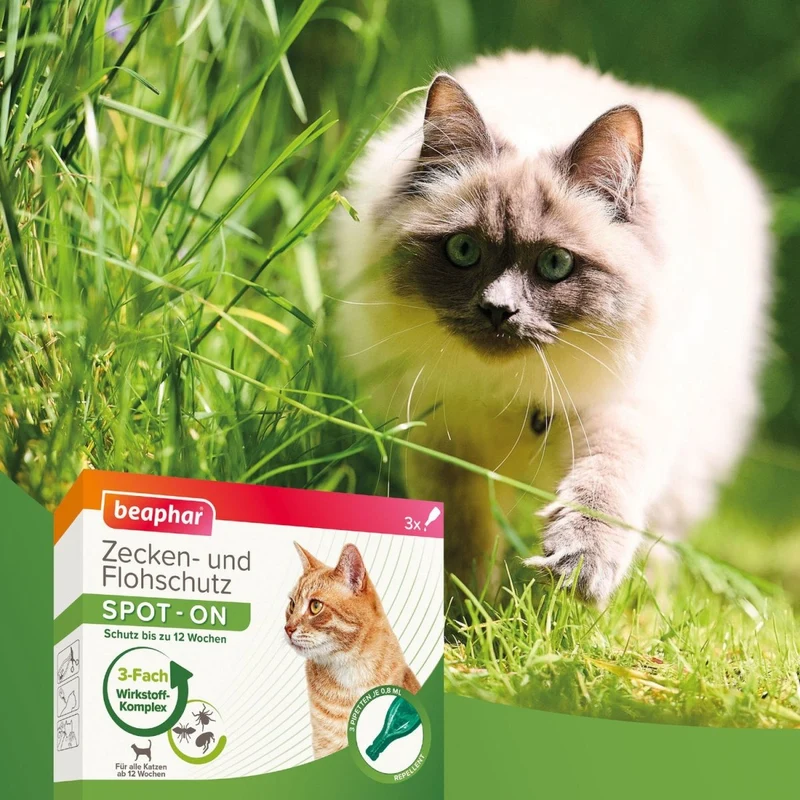 Beaphar Zecken- und Flohschutz SPOT-ON für Katzen