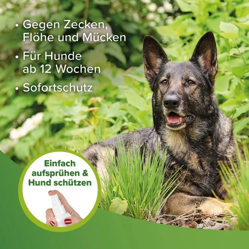 Beaphar Zecken- & Flohschutz Spray
