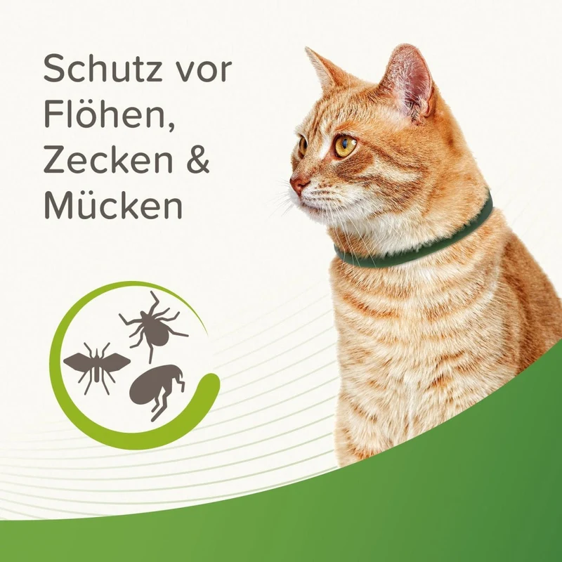 Beaphar Zecken- & Flohschutz Halsband für Katzen Grün