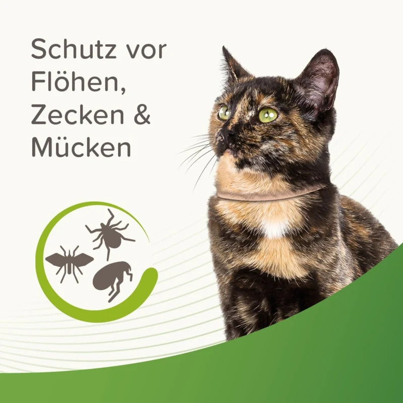 Beaphar Zecken- & Flohschutz Halsband für Katzen Beige