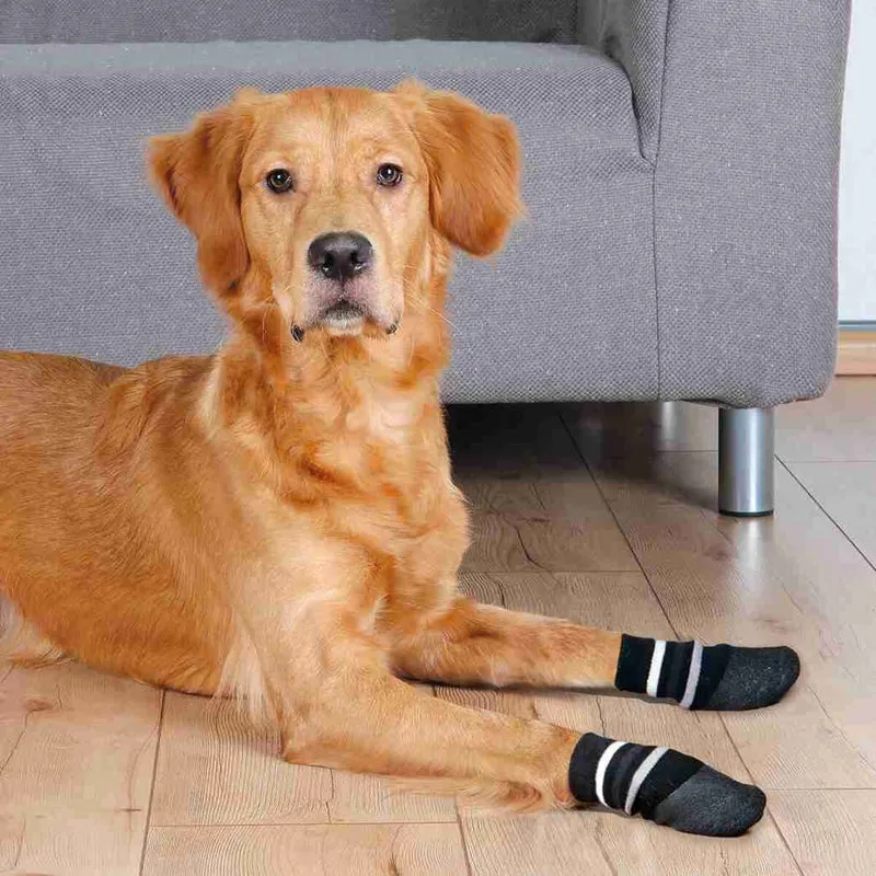 Hundesocken