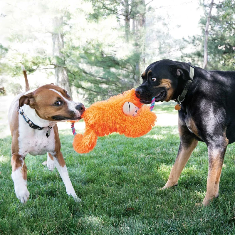 Hundespielzeug KONG® Tuggz™