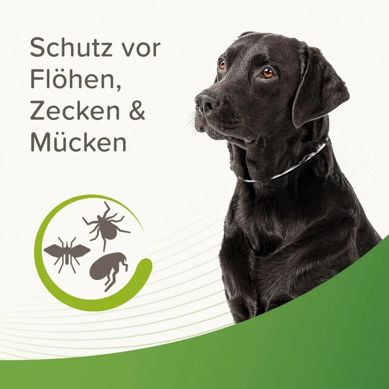 Beaphar Zecken- & Flohschutz Halsband für Hunde Reflektierend