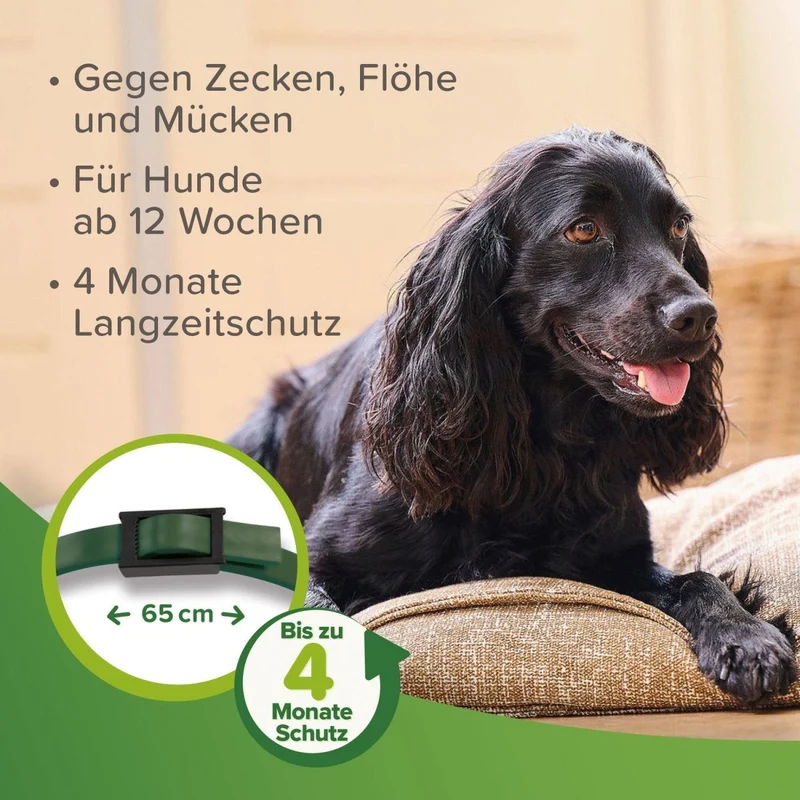 Beaphar Zecken- & Flohschutz Halsband für Hunde Grün