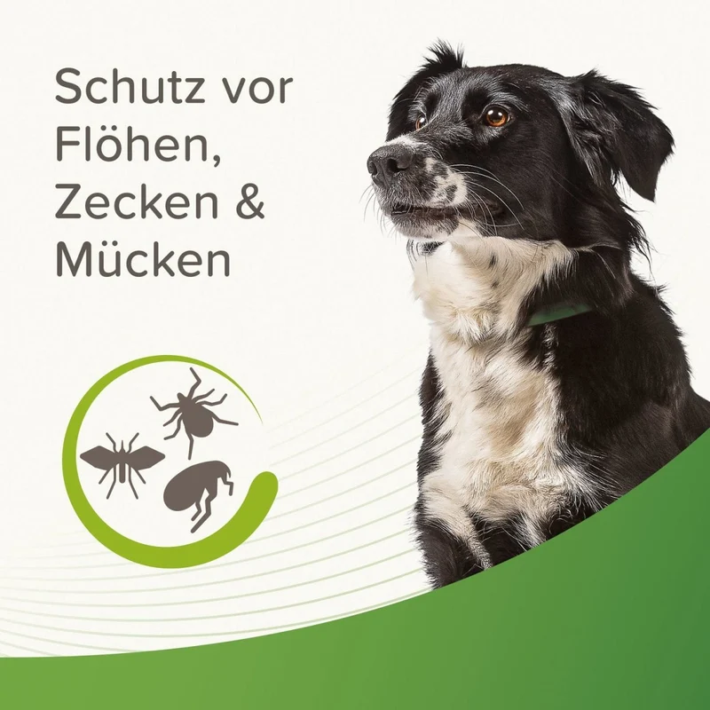 Beaphar Zecken- & Flohschutz Halsband für Hunde Grün