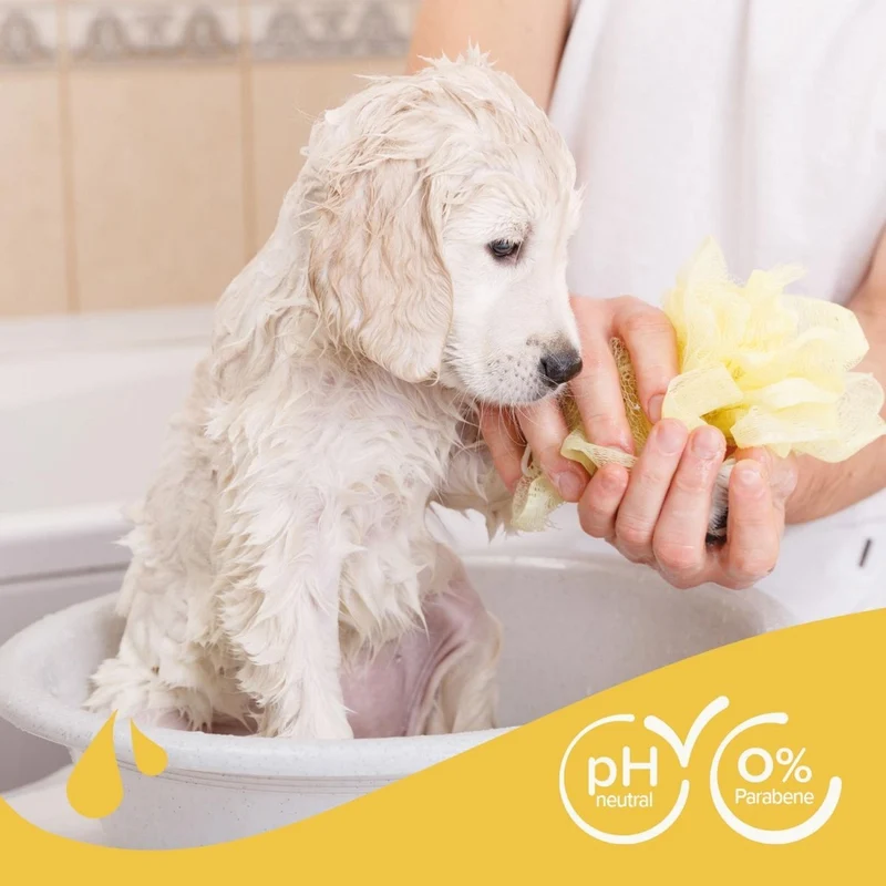 Beaphar Hunde Shampoo für Welpen