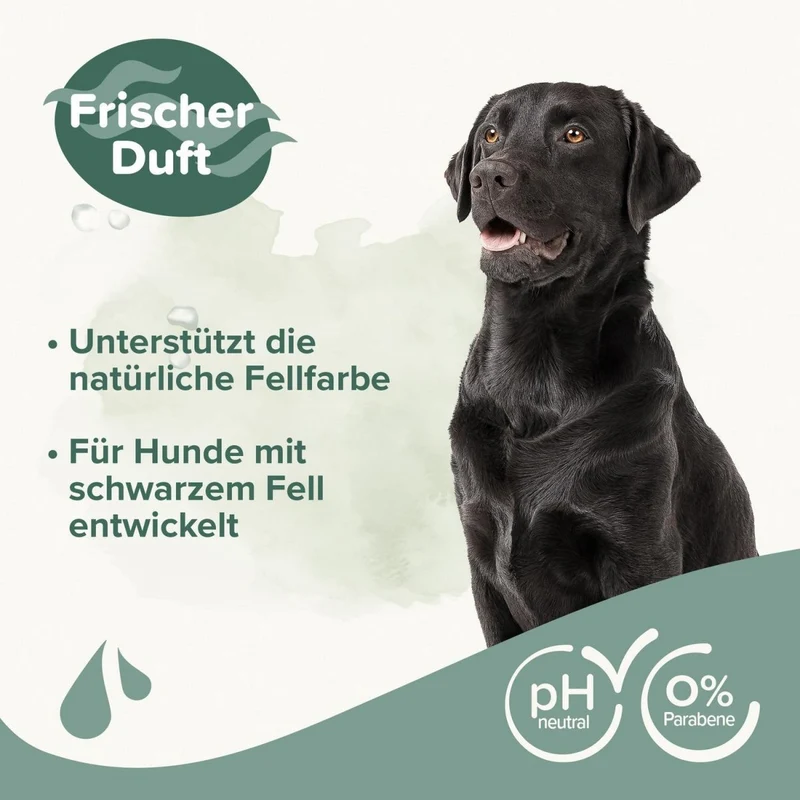 Beaphar Hunde Shampoo für Schwarzes Fell