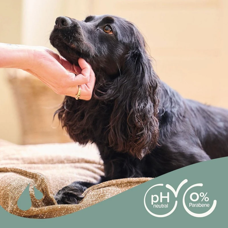 Beaphar Hunde Shampoo für Schwarzes Fell