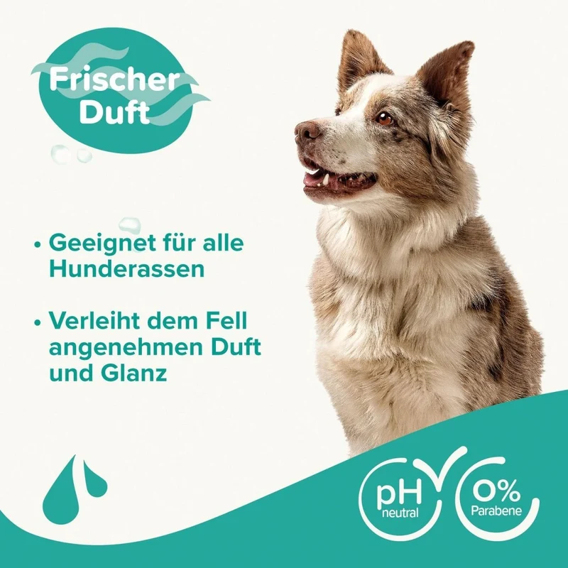 Beaphar Hunde Shampoo Fellglanz